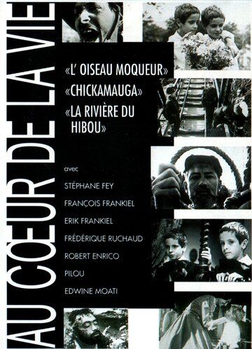 Постер фильма «Au coeur de la vie»