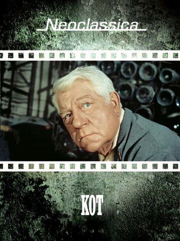 Постер фильма «Кот»