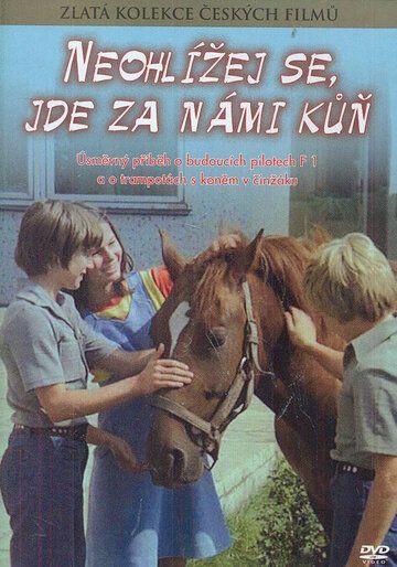 Постер фильма «Не оглядывайся, за нами лошадь!»