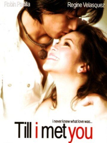 Постер фильма «Till I Met You»
