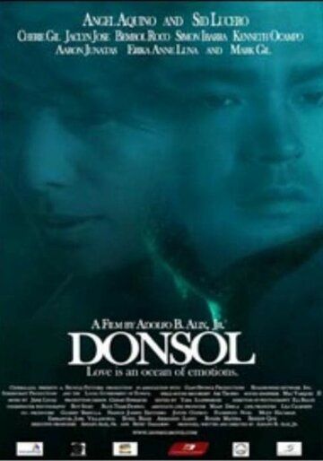 Постер фильма «Донсол»