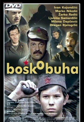Постер фильма «Бошко Буха»