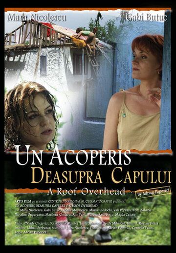 Постер фильма «Un acoperis deasupra capului»