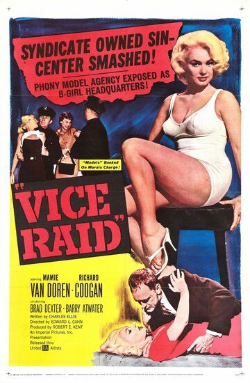 Постер фильма «Vice Raid»
