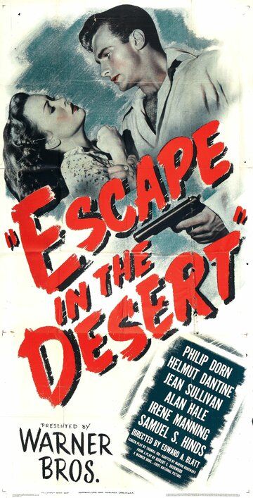 Постер фильма «Escape in the Desert»