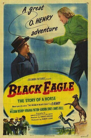 Постер фильма «Black Eagle»