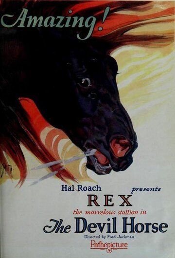 Постер фильма «The Devil Horse»