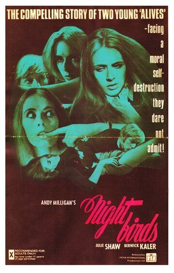 Постер фильма «Nightbirds»