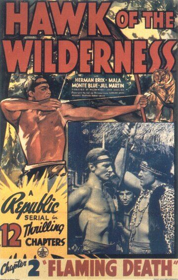 Постер фильма «Hawk of the Wilderness»