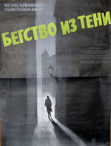 Постер фильма «Бегство из тени»