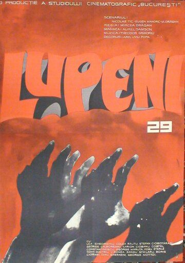 Постер фильма «Лупень, 29»