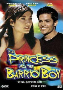 Постер фильма «The Princess & the Barrio Boy»