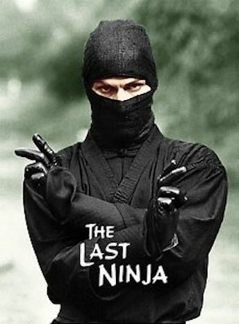 Постер фильма «Последний ниндзя»