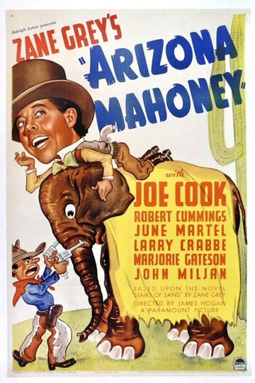 Постер фильма «Arizona Mahoney»