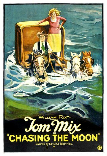 Постер фильма «В погоне за луной»