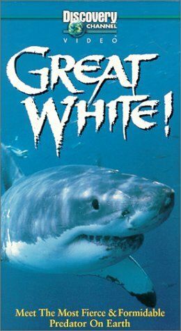 Постер фильма «Great White»