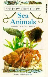 Постер фильма «See How They Grow: Sea Animals»
