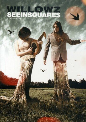 Постер фильма «The Willowz: Seeinsquares»