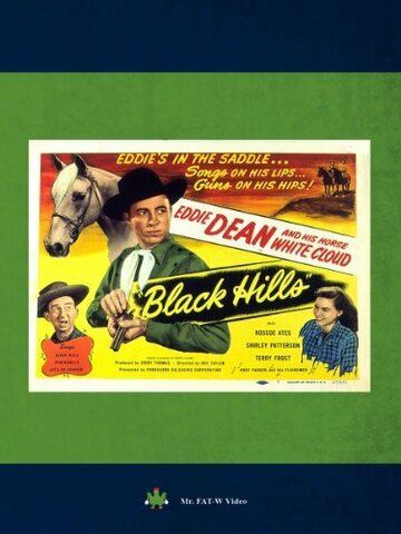 Постер фильма «Black Hills»
