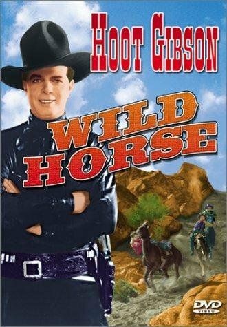 Постер фильма «Wild Horse»