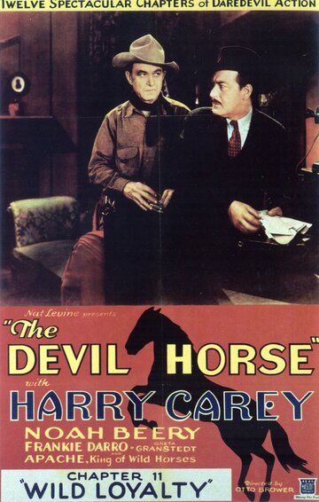 Постер фильма «The Devil Horse»