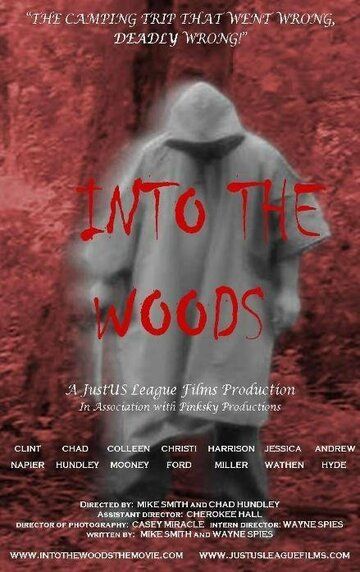 Постер фильма «Into the Woods»