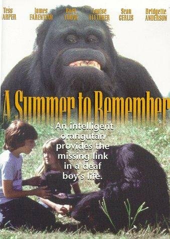 Постер фильма «A Summer to Remember»