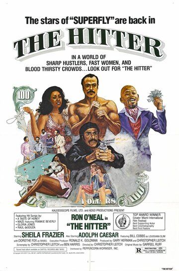 Постер фильма «The Hitter»