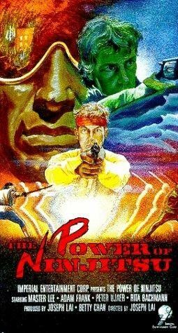 Постер фильма «The Power of Ninjitsu»