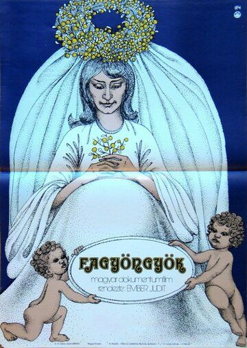 Постер фильма «Fagyöngyök»