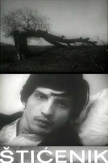 Постер фильма «Подопечный»