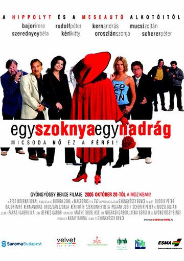 Постер фильма «Одна юбка, одни брюки»
