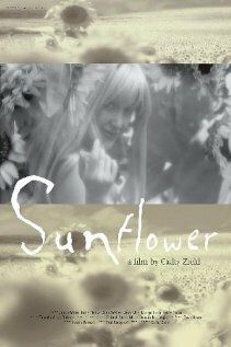 Постер фильма «Sunflower»