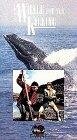 Постер фильма «A Whale for the Killing»