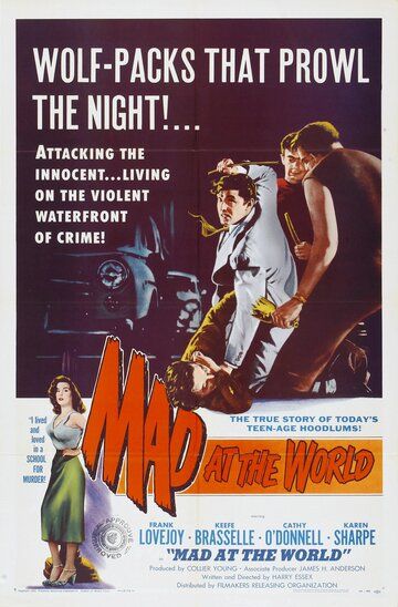 Постер фильма «Mad at the World»