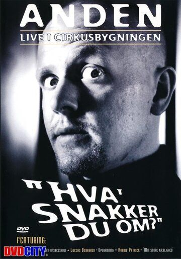 Постер фильма «Anders Matthesen: Hva' snakker du om?»