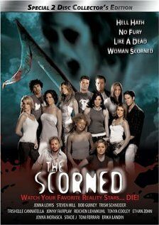 Постер фильма «The Scorned»