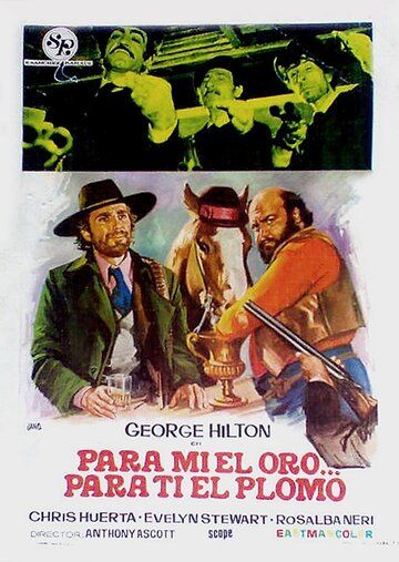 Постер фильма «Трюкач Дики»