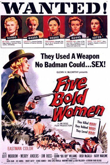 Постер фильма «Five Bold Women»