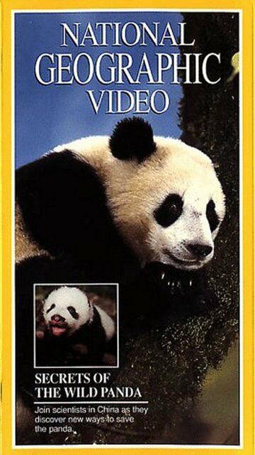 Постер фильма «Secrets of the Wild Panda»