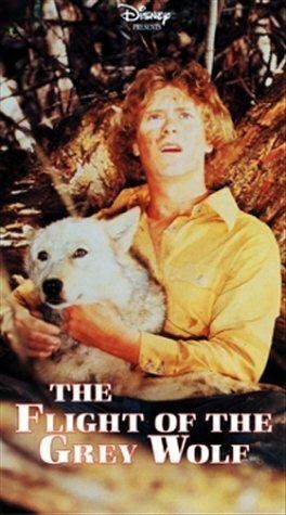 Постер фильма «The Flight of the Grey Wolf»