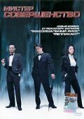 Постер фильма «Мистер совершенство»