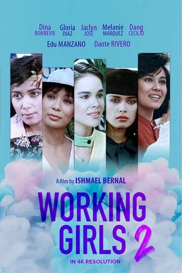 Постер фильма «Деловые девушки 2»