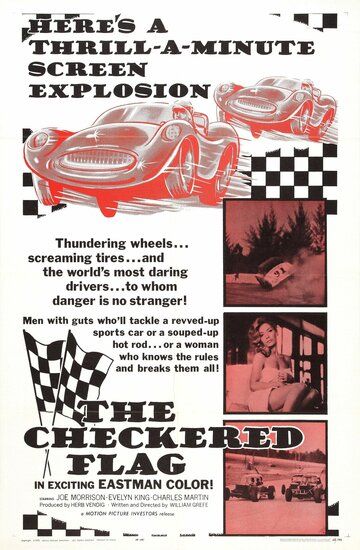 Постер фильма «The Checkered Flag»
