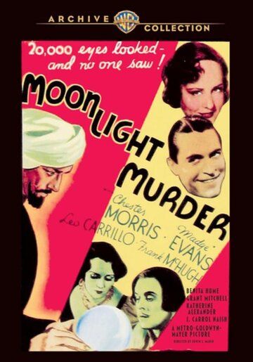 Постер фильма «Moonlight Murder»