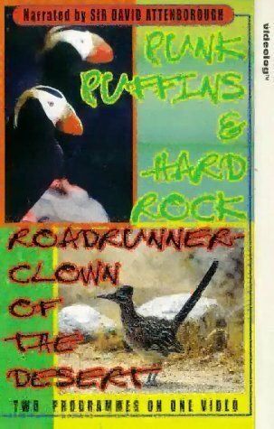 Постер фильма «Roadrunner»