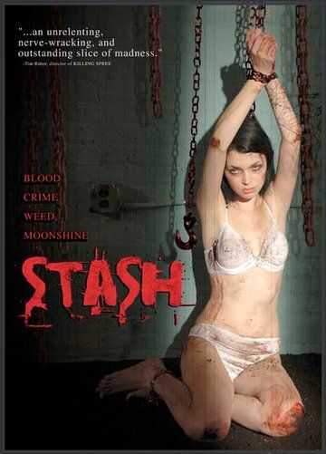 Постер фильма «Stash»