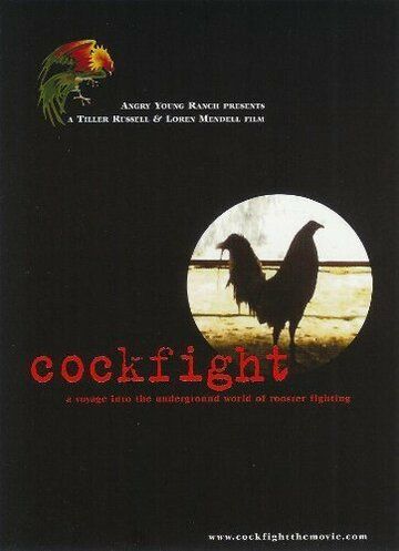Постер фильма «Cockfight»