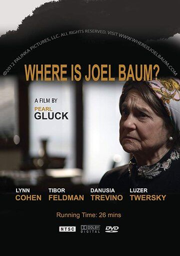 Постер фильма «Where Is Joel Baum?»