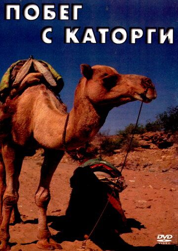 Постер фильма «Побег с каторги»